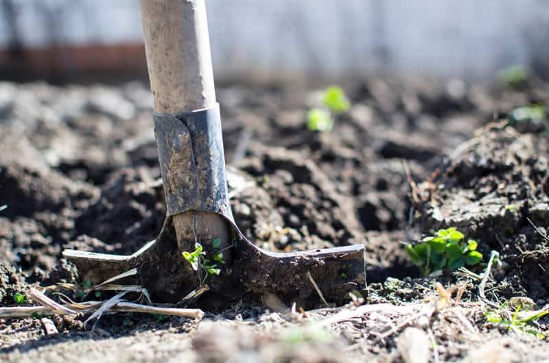 7 ways to prevent rusty garden tools this winter!